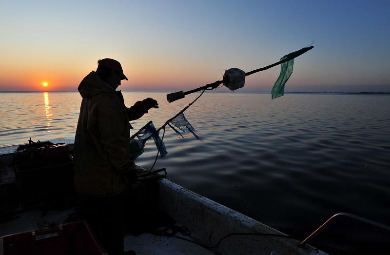 Fileyeur Arcachon ab3.JPG